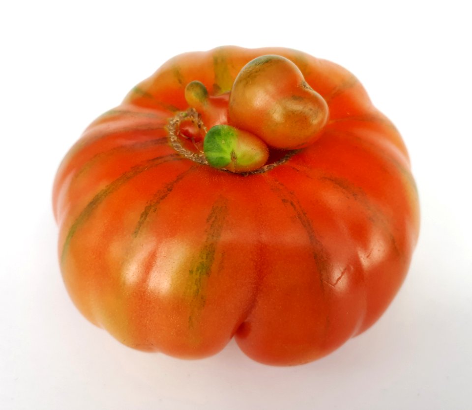 Raf tomato 2017 H4