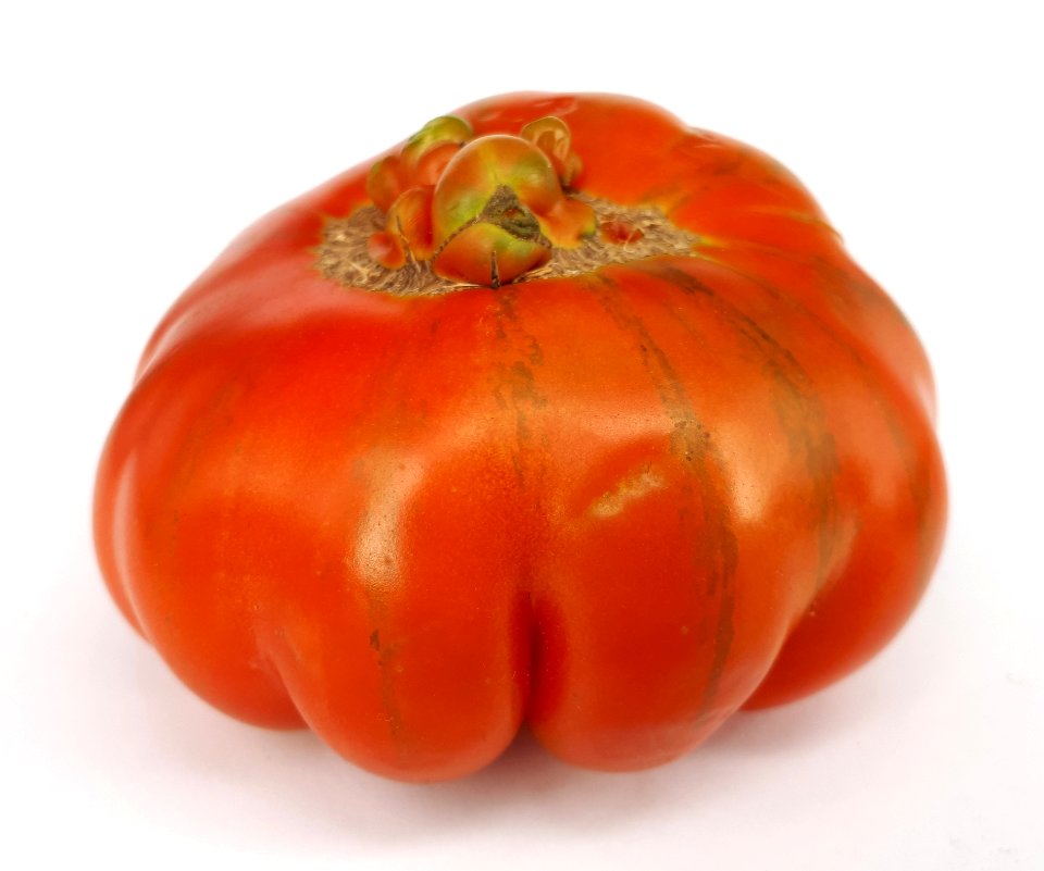 Raf tomato 2017 E3