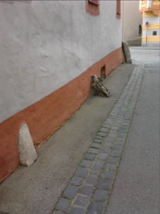 Radabweiser Eichstätt Adlergäßchen (Marktplatz 24) (1)