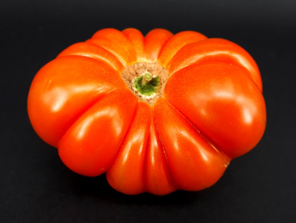 Raf tomato 2017 E4