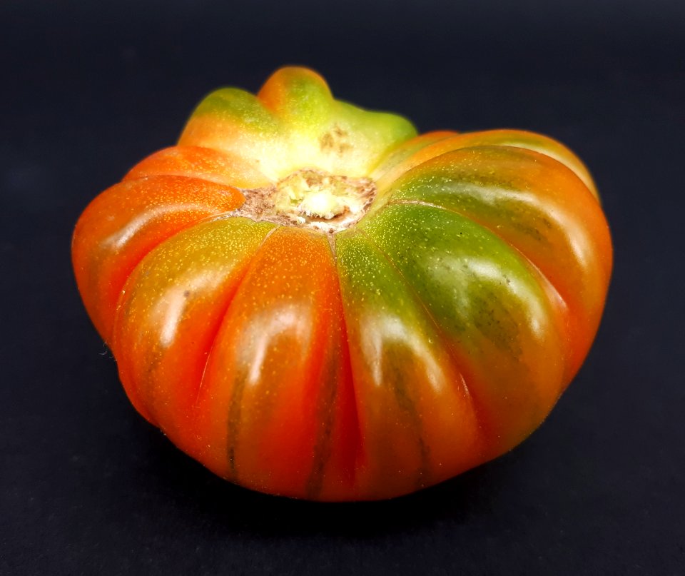 Raf tomato 2017 B3