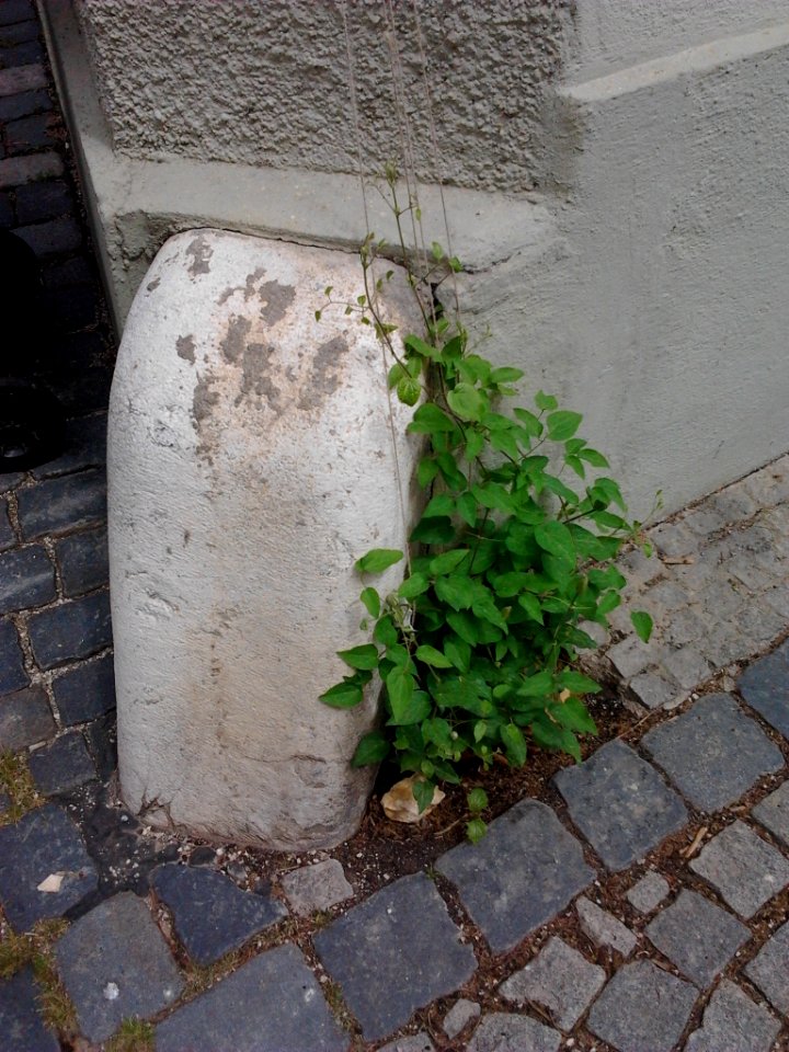 Radabweiser Eichstätt Gutenberggasse 1 (2)