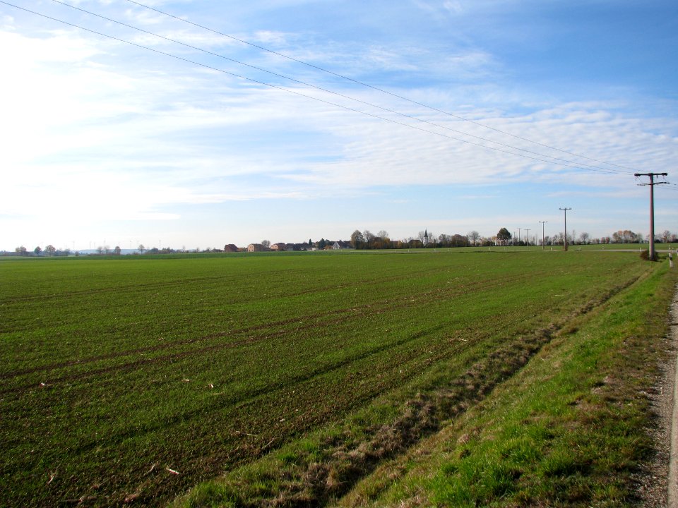 Röckenhofen, OT von Greding (1)