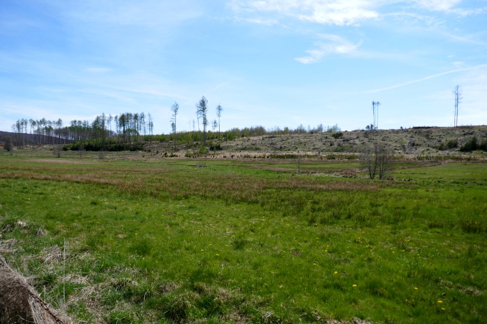 Rüthen - Naturschutzgebiet Möhnetal - 7