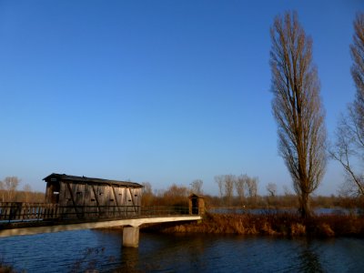 Réserve du Rohrschollen 05