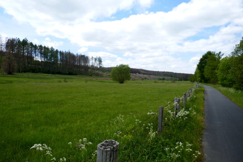 Rüthen - Naturschutzgebiet Möhnetal - 2