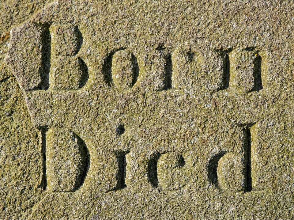 Lifespan cradle grave