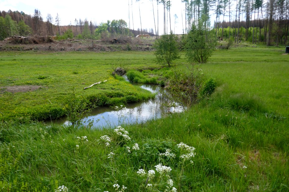 Rüthen - Naturschutzgebiet Möhnetal - 1