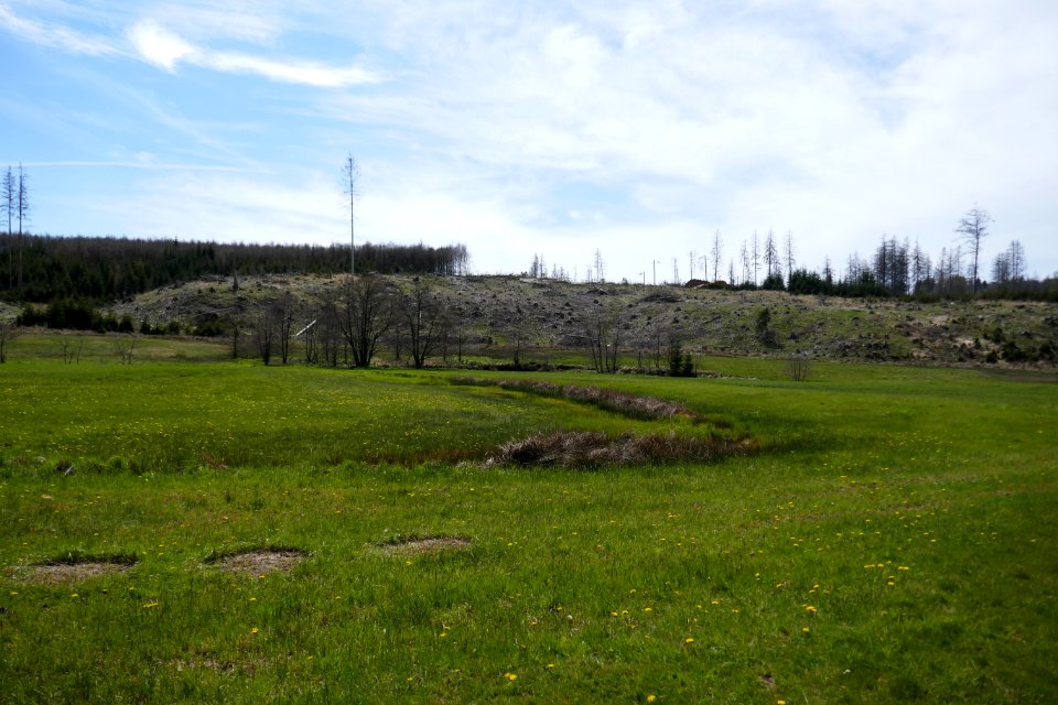 Rüthen - Naturschutzgebiet Möhnetal - 6