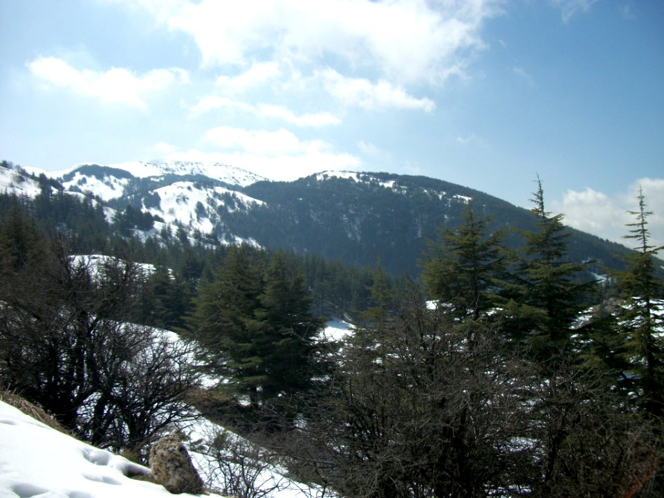 Réserve naturelle du Chouf neige 02
