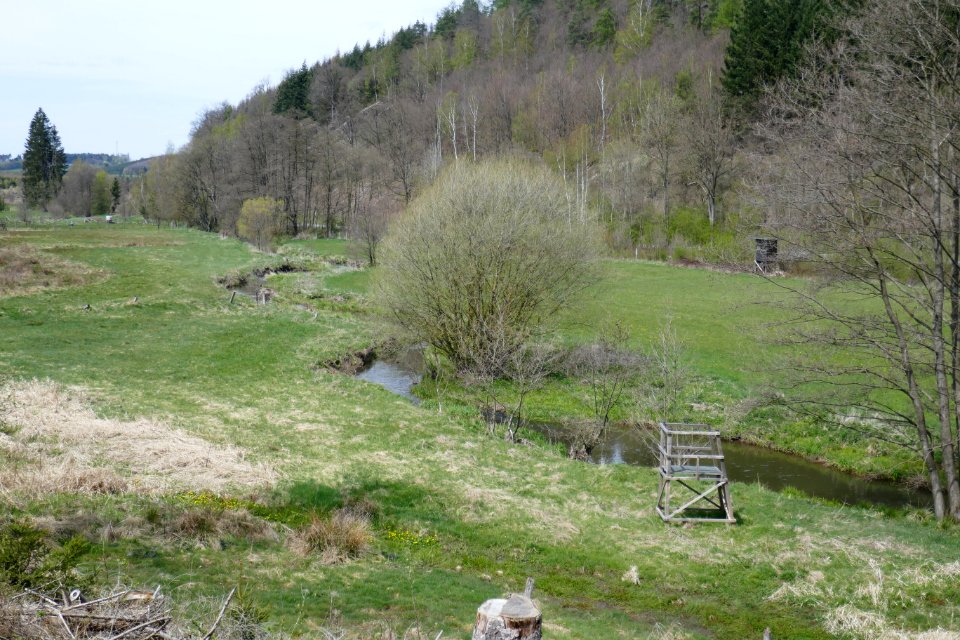 Rüthen - Naturschutzgebiet Möhnetal - 9