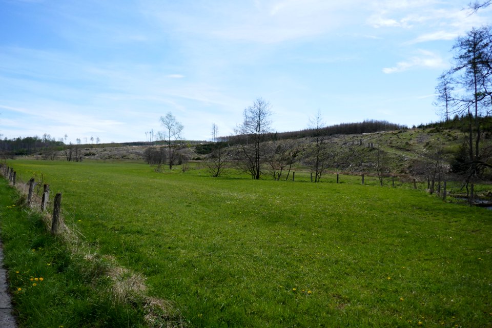 Rüthen - Naturschutzgebiet Möhnetal - 5