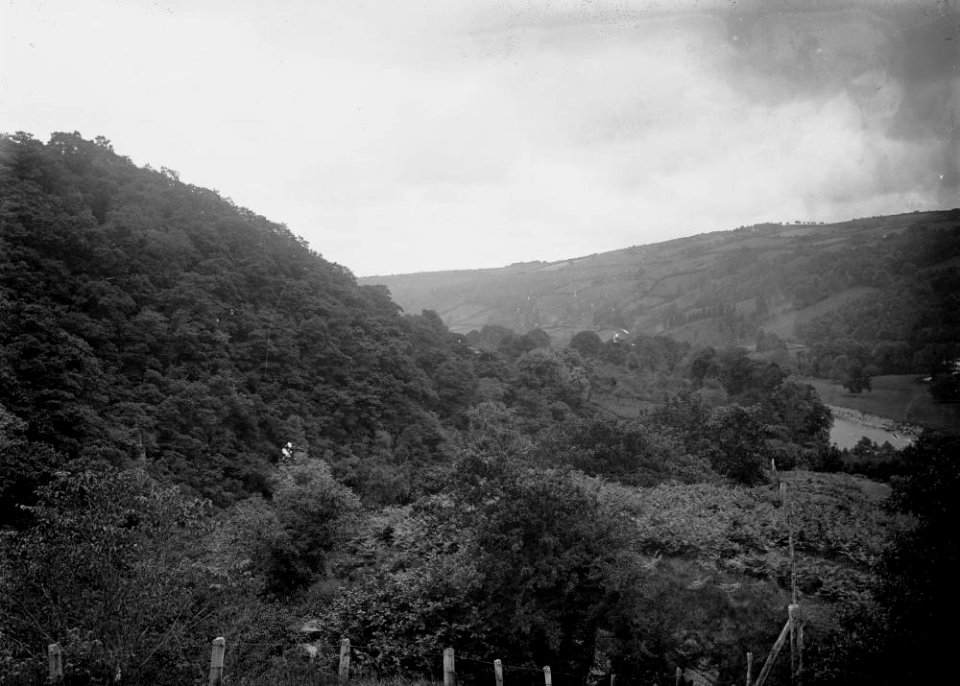 Radnorshire view (1293433)