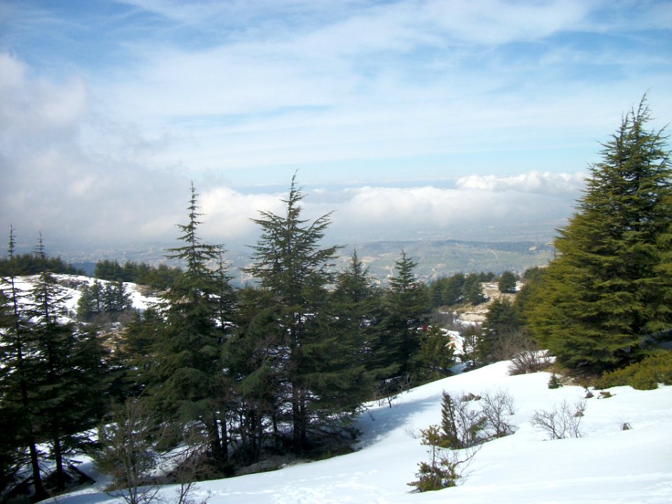 Réserve naturelle du Chouf neige 06
