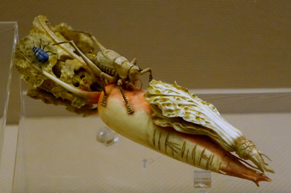Radish, China, Qing dynasty, 1644-1911 AD, ivory - Sichuan Provincial Museum - Chengdu, China - DSC04649
