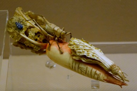 Radish, China, Qing dynasty, 1644-1911 AD, ivory - Sichuan Provincial Museum - Chengdu, China - DSC04649