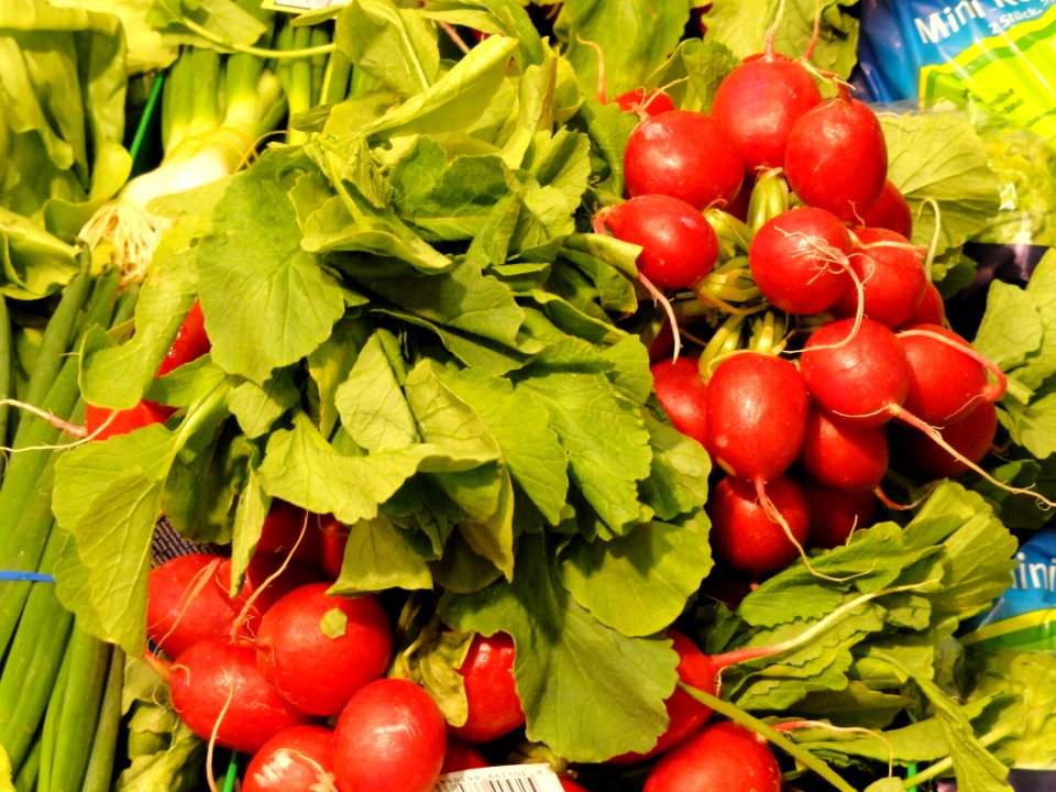Radishes in Freiburg - DSC06502