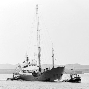 Radio Paradijs (1981)