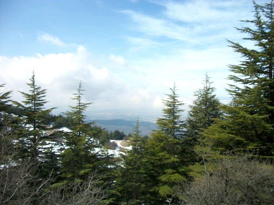 Réserve naturelle du Chouf neige 03