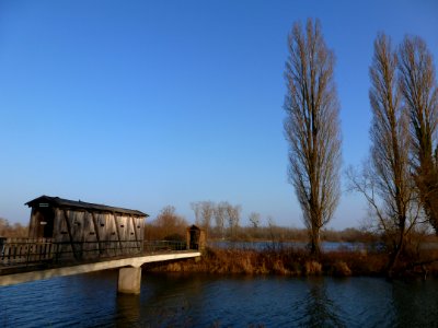 Réserve du Rohrschollen 04