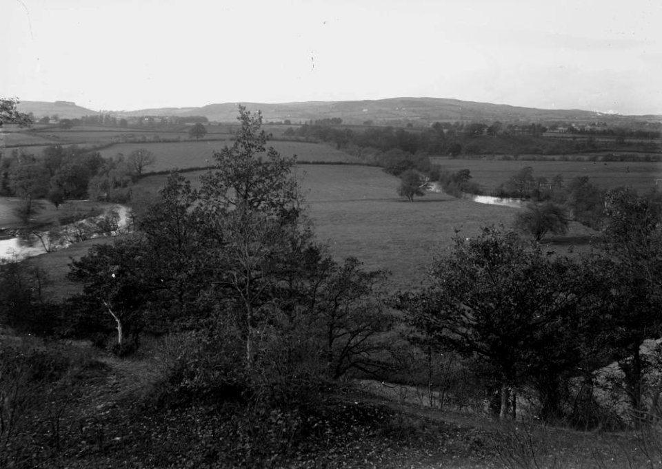 Radnorshire view (1294692)