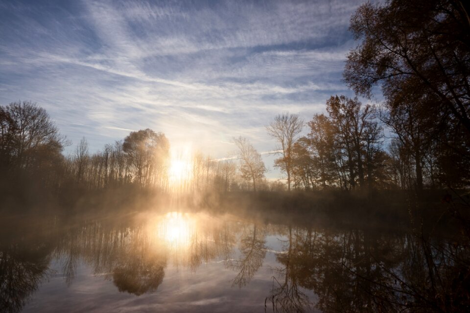 Morgenstimmung nature fog