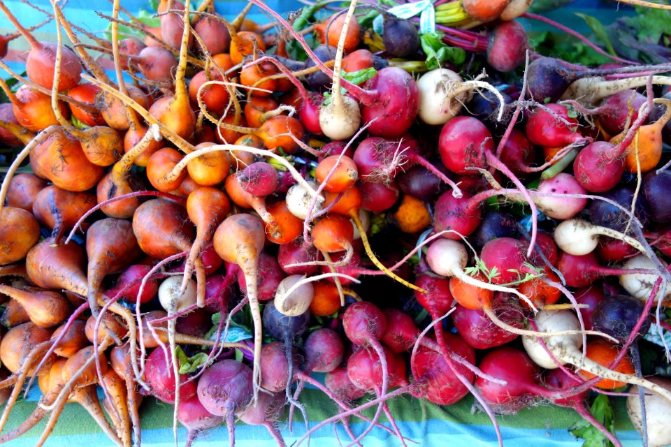 Radishes 1 - Farmer's Market at the Ferry Building - San Francisco, CA - DSC03594