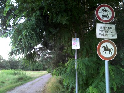 Radroute Berlin-Leipzig südwestlich von Zahna Ende Juli 2013