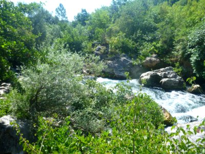 Rafting Cetina 05
