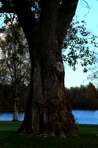 Raatinsaari Oulu 20151003