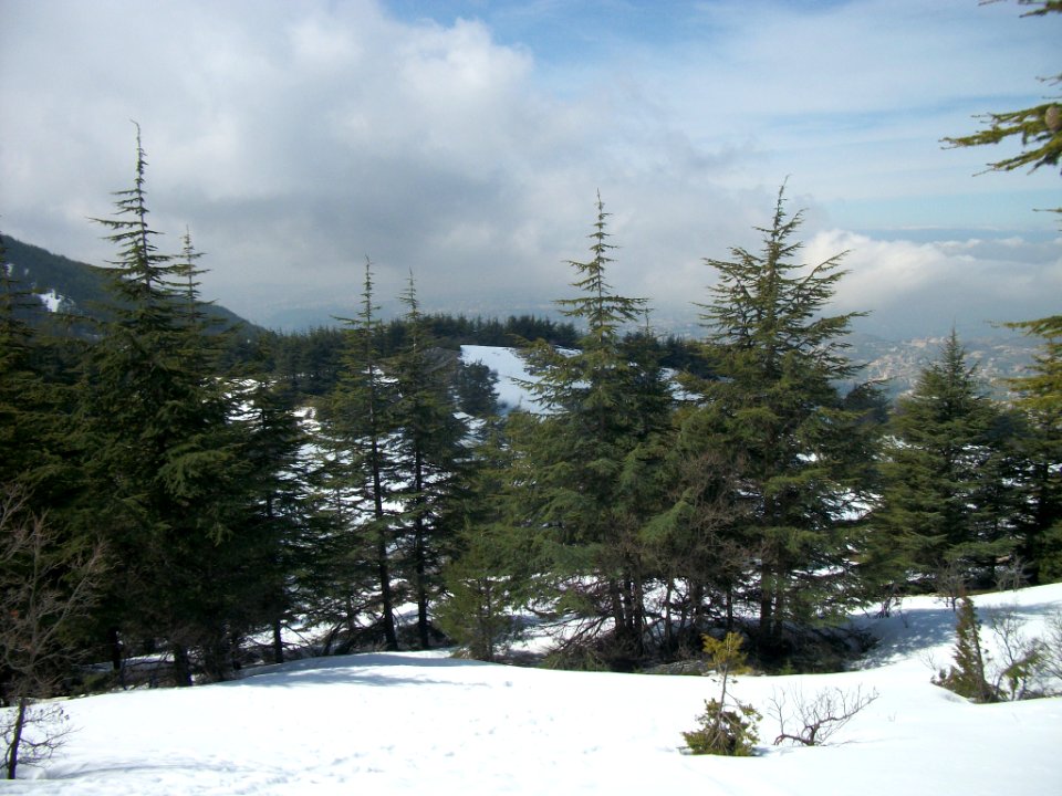 Réserve naturelle du Chouf neige 05