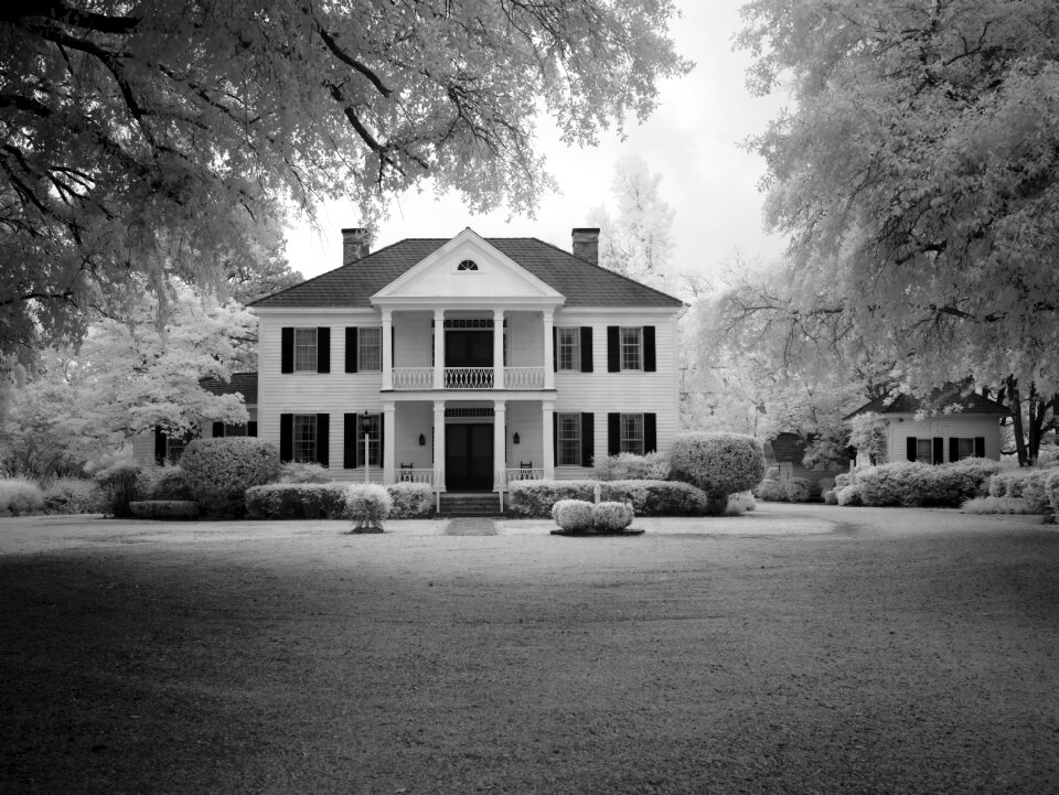 Architecture real estate dream home