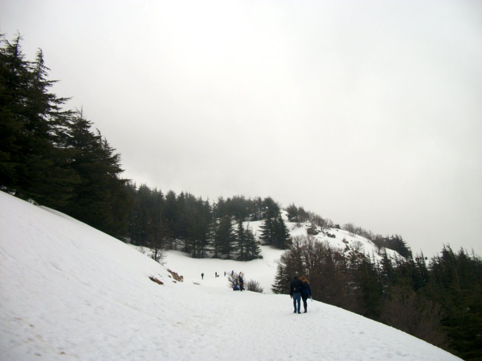 Réserve naturelle du Chouf neige 07