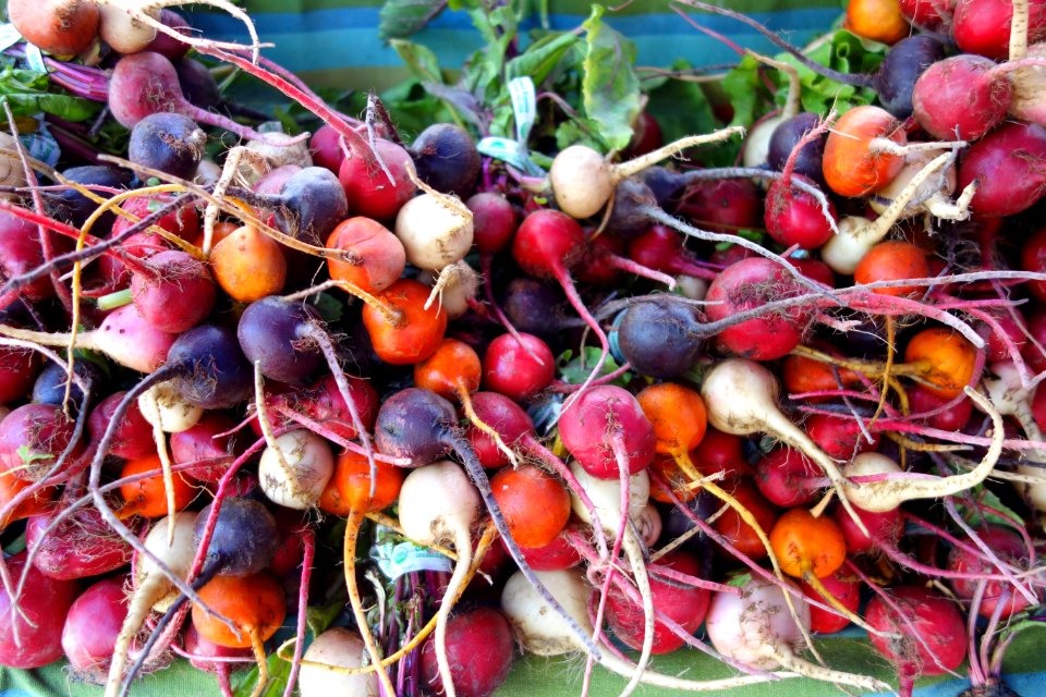 Radishes 2 - Farmer's Market at the Ferry Building - San Francisco, CA - DSC03595