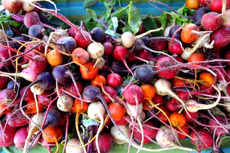Radishes 2 - Farmer's Market at the Ferry Building - San Francisco, CA - DSC03595