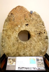 Rai (status stone), Yap, quarried 1904 on Palau - National Museum of Natural History, United States - DSC00363