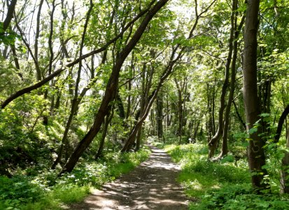 Rösetal Wanderweg