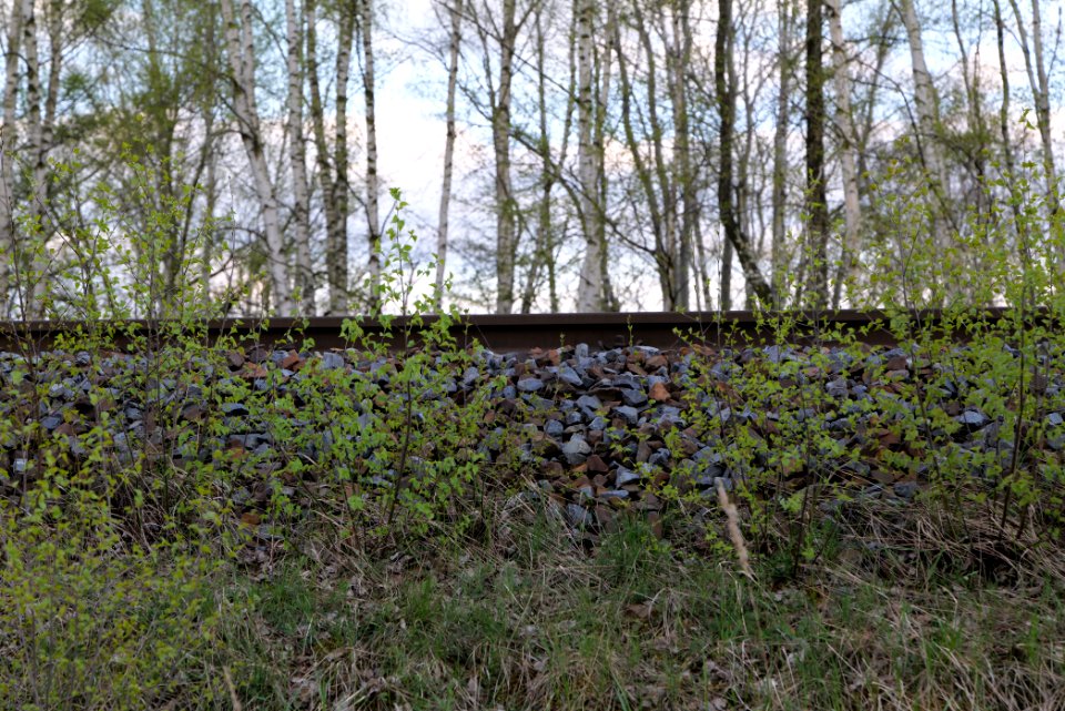 Railway Cottbus-Guben 2021-04-24 07