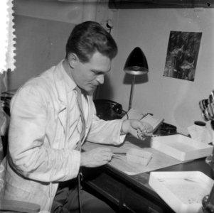 Radio-actieve kikkers bij het Kernphysisch Instituut Amsterdam (en zoologische m, Bestanddeelnr 908-9468