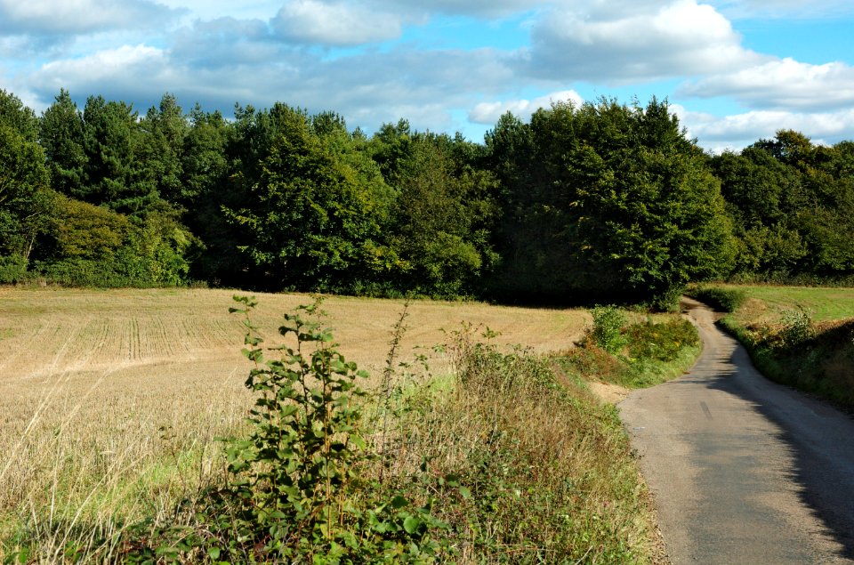 Ragged-Hall-Lane-20051002-014