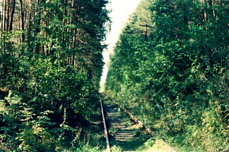 Railway in Shartash park