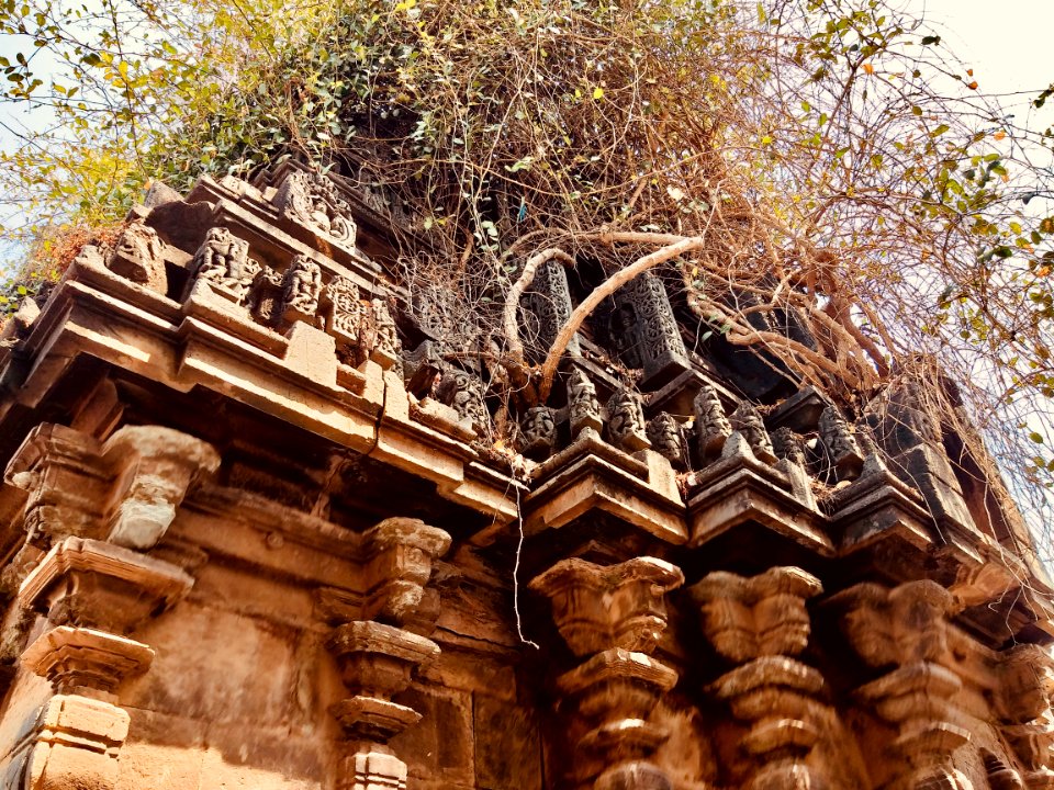 Rameshvara temple, Gadag, Karnataka India - 15