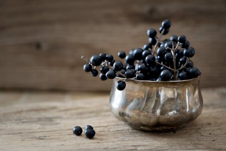 Berries berries dark blue close up photo