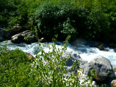 Rafting Cetina 08