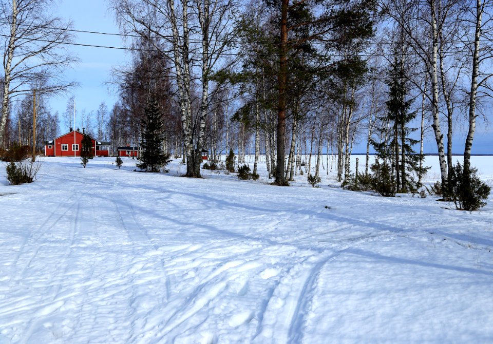 Röyttä Ii 20160327 02