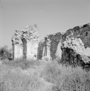 Ramle Ruines van de Witte Moskee, Bestanddeelnr 255-3861