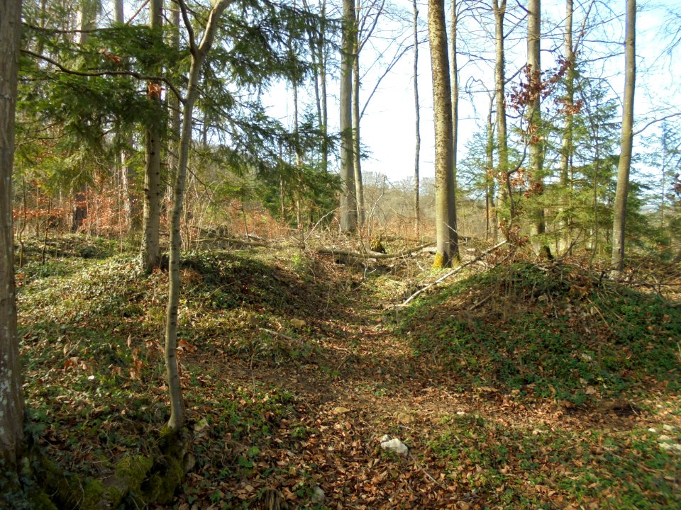 Römische Villa Wahlen 3