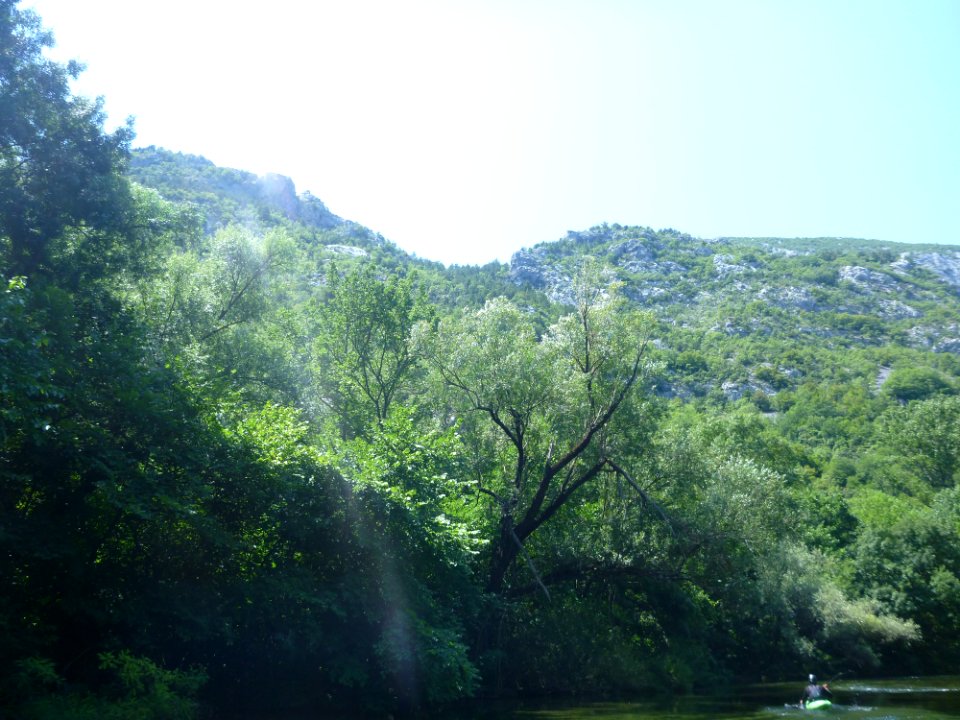 Rafting Cetina 25