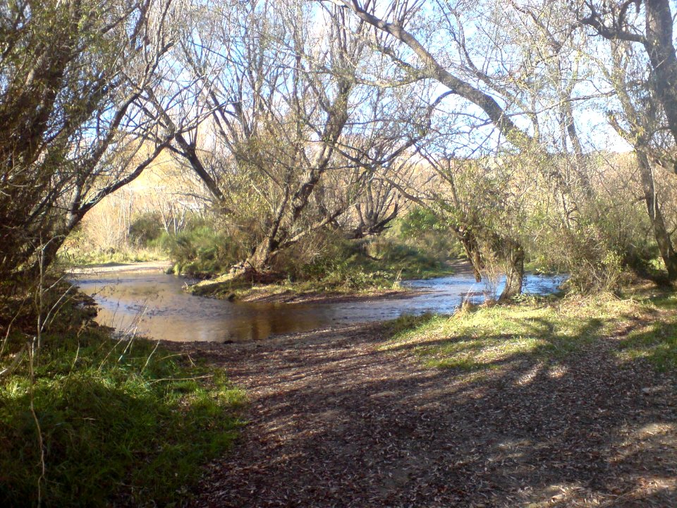 Rail Trail Near Tucker Hill Road, Part I