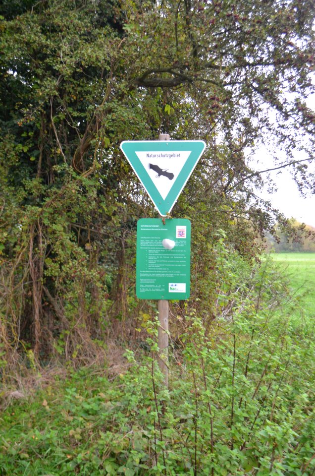 Rückingen, Weideswiesen-Oberwald bei Erlensee, Schild